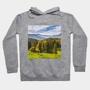 SCENERY 87 - Mountainous Landform Forest Nature Ecosystem Hoodie